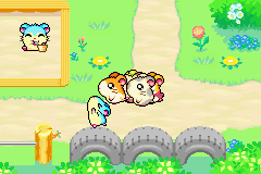 screenshots/Game Boy Advance/Hamtaro - Rainbow Rescue/Hamtaro - Rainbow Rescue (Eng) 061.png